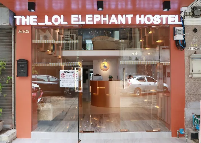 The Lol Elephant Hostel